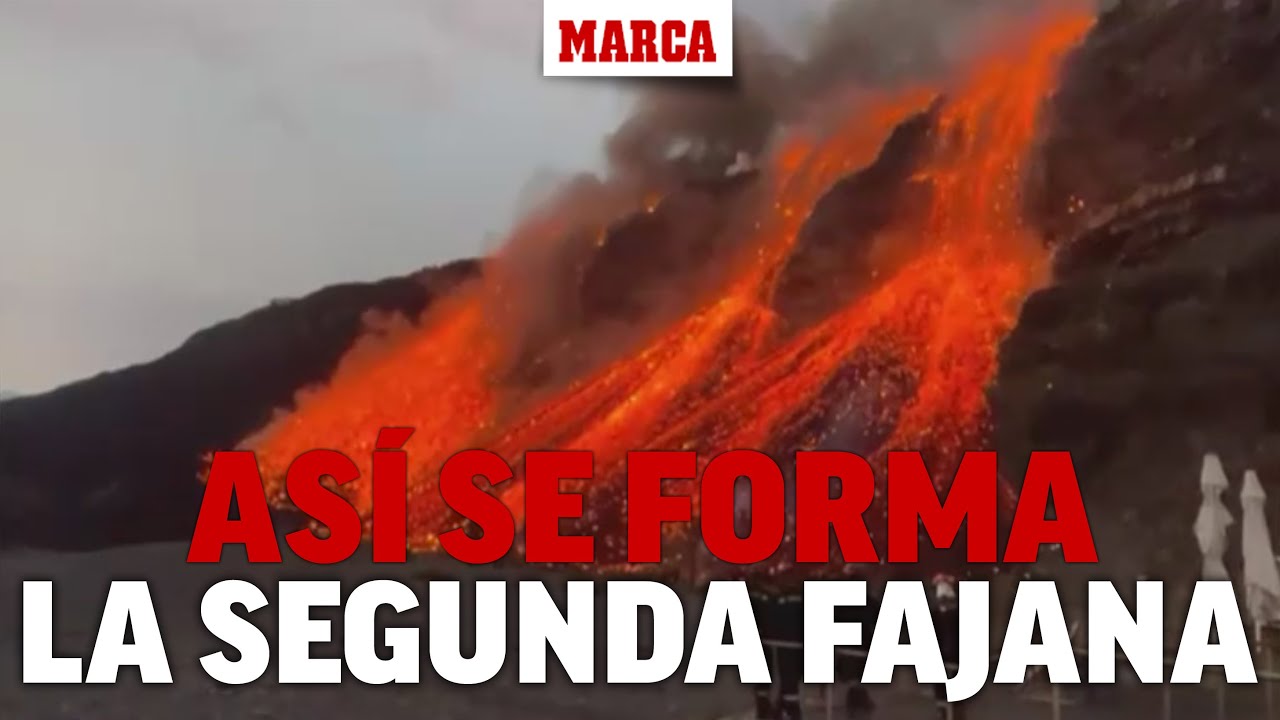 la fajana la palma como llegar