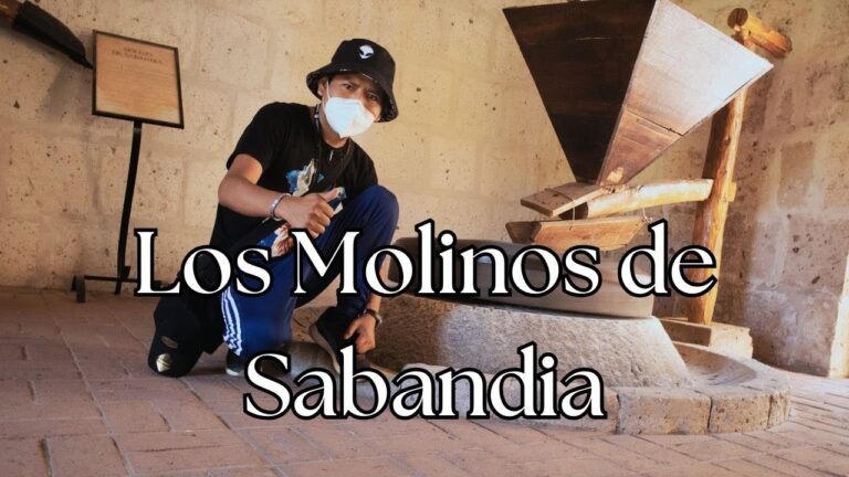 paseo del molino 7 como llegar