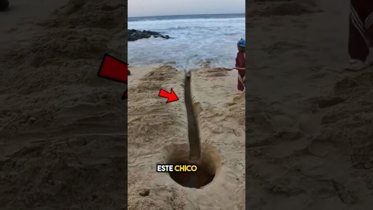 playa de las arenas como llegar
