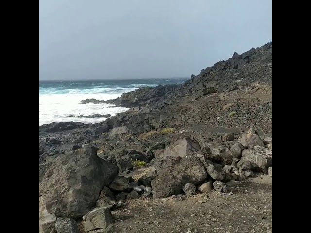 playa de las malvas lanzarote como llegar
