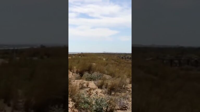 playa del espigon huelva como llegar