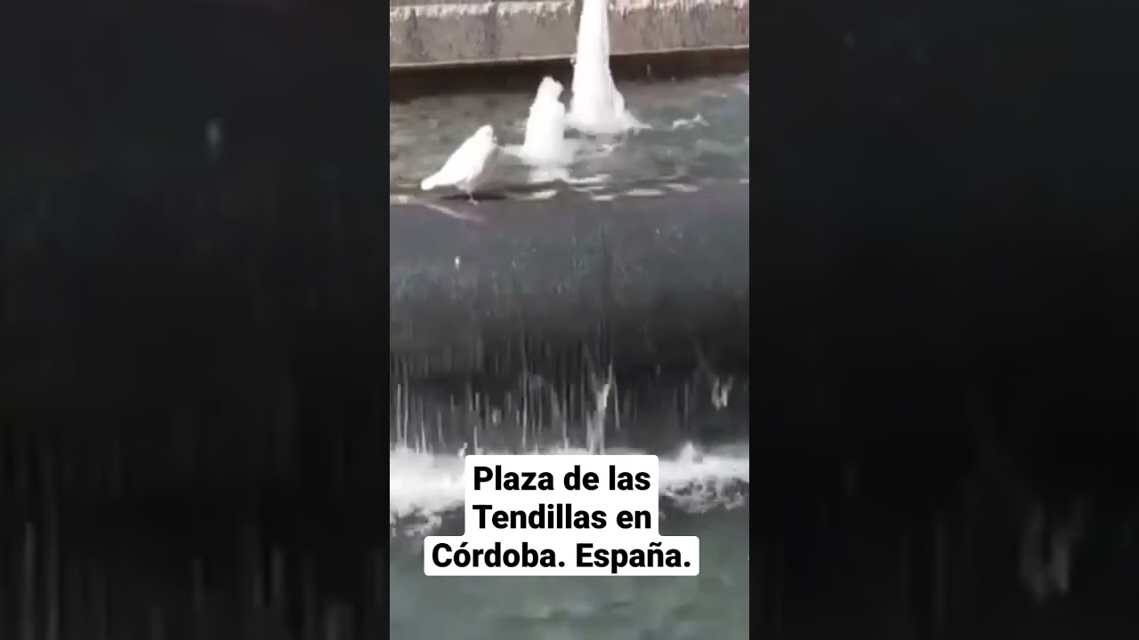 plaza de las tendillas córdoba como llegar