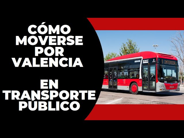 plaza del cedro valencia como llegar