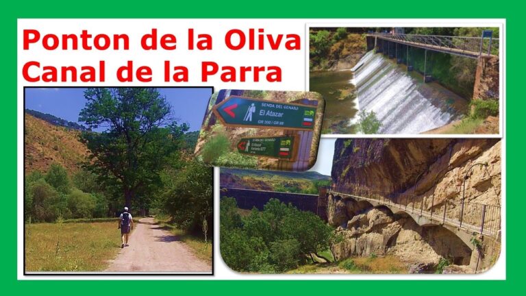 pontón de la oliva como llegar