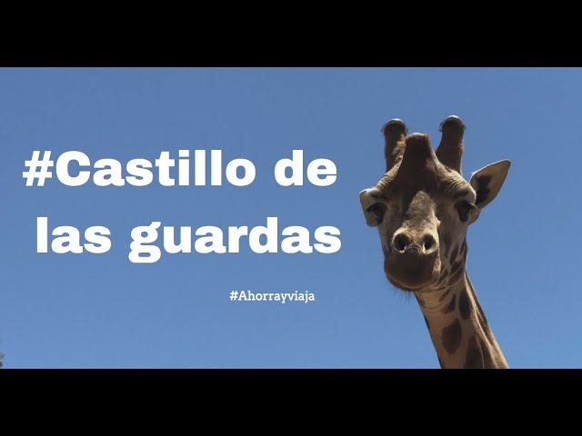 que animales hay en el castillo de las guardas