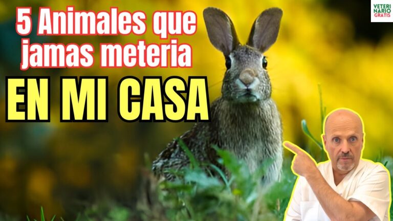 que animales se pueden tener en casa