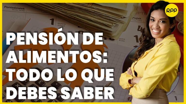 que entra en la pensión de alimentos