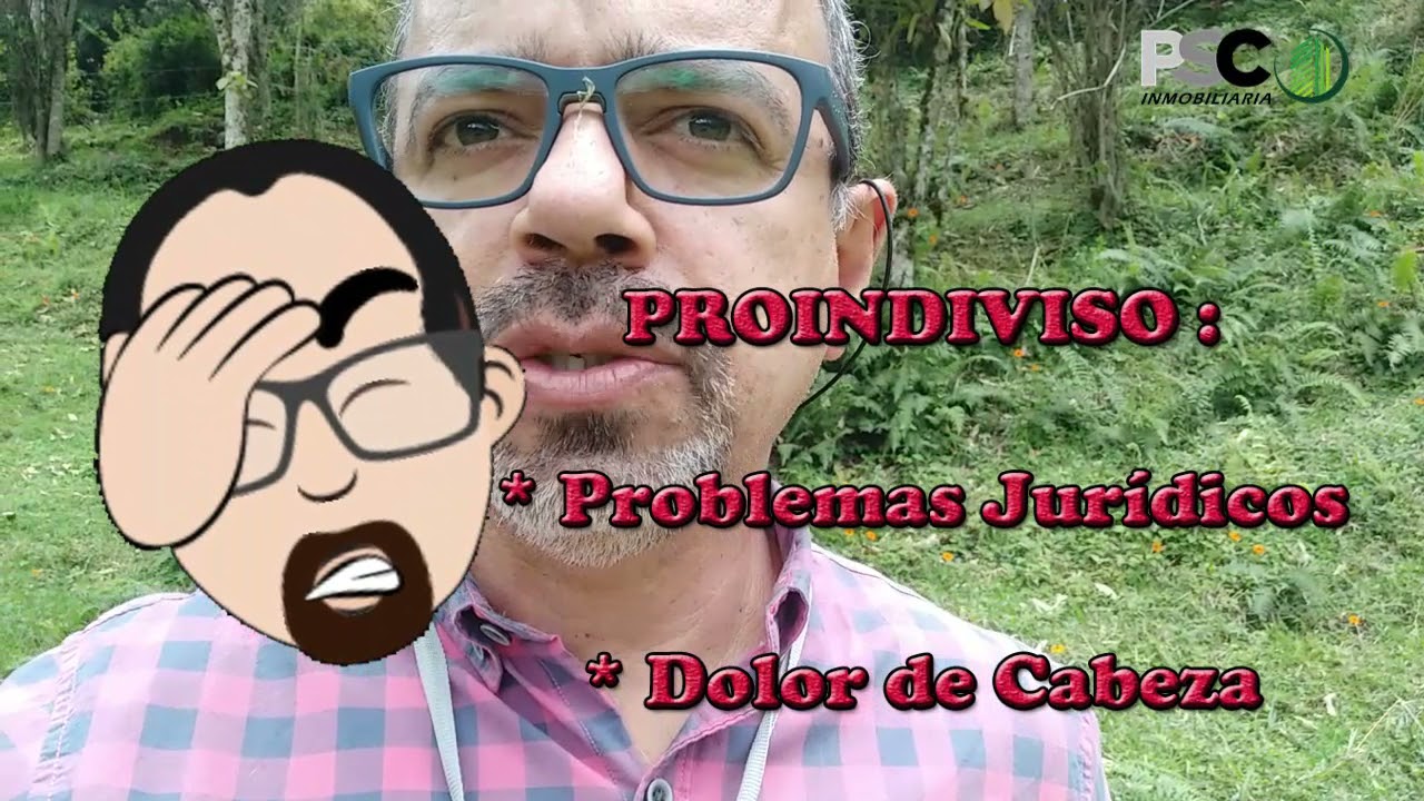 que es el indiviso en una escritura