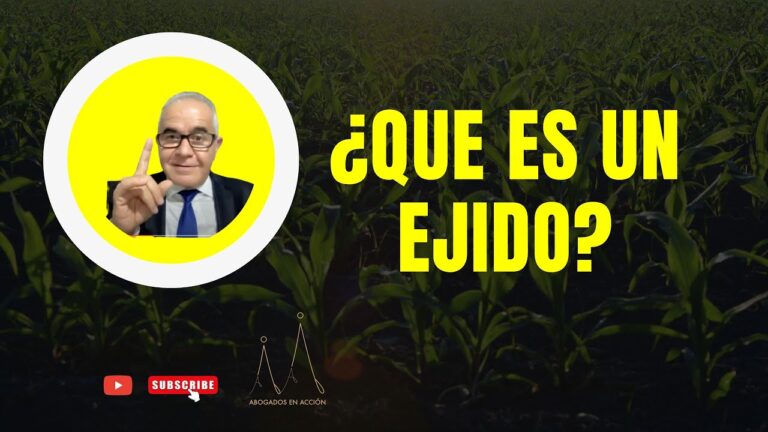 que es un ejido y como funciona