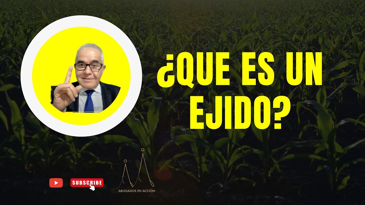 que es un ejido y como funciona