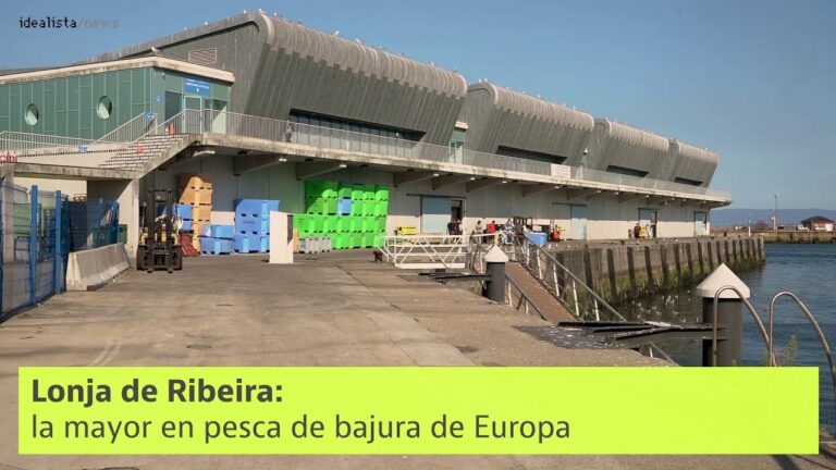que es una lonja de pescado