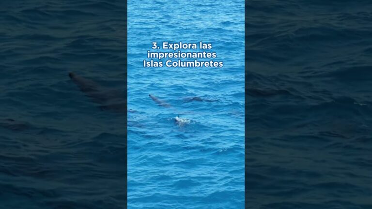que faire à oropesa del mar