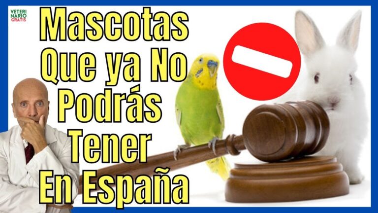 que mascotas se pueden tener en españa