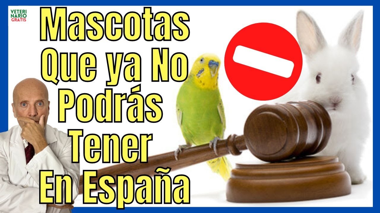 que mascotas se pueden tener en españa
