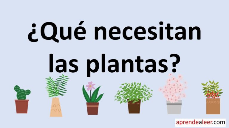 que necesitan las planta para vivir