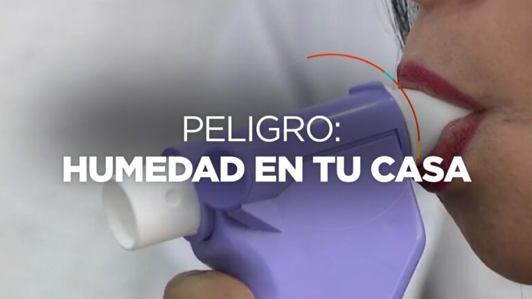 que pasa si duermes en una habitacion con moho
