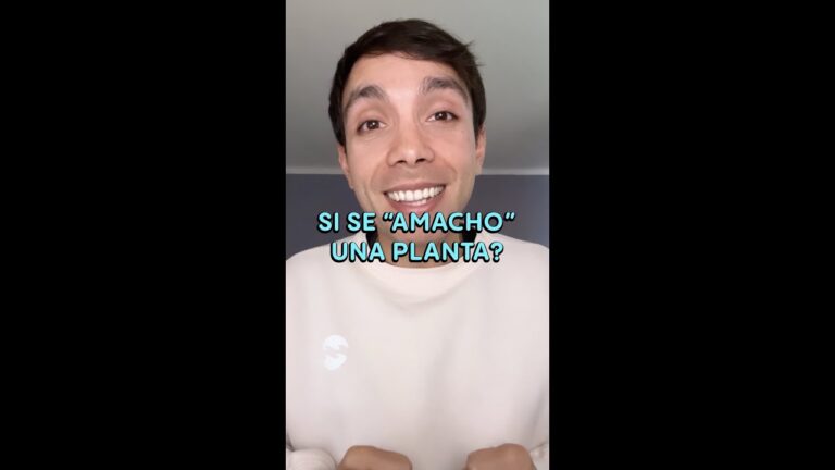que pasa si te pillan con 200 plantas