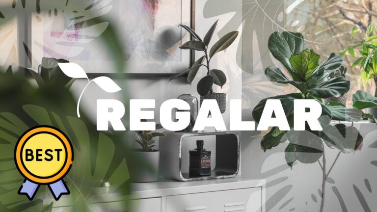 que planta regalar para una casa nueva