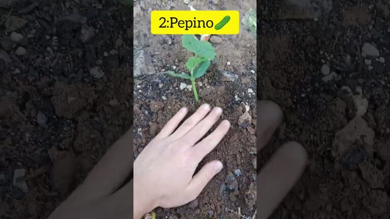 que plantar en abril en cataluña
