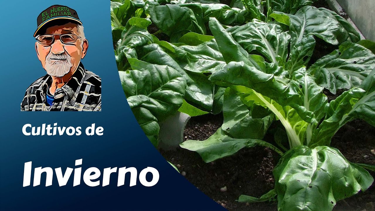 que plantar en diciembre en cataluña