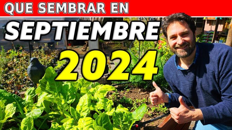 que plantar en el huerto en septiembre