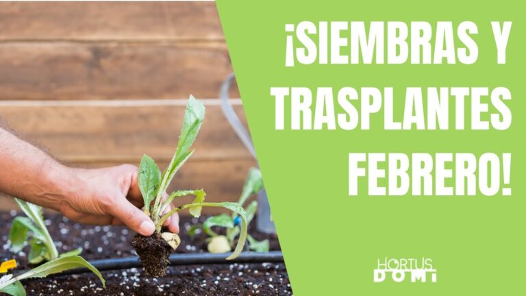 que plantar en febrero en cataluña