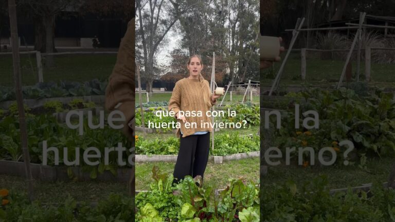 que plantar en junio en galicia