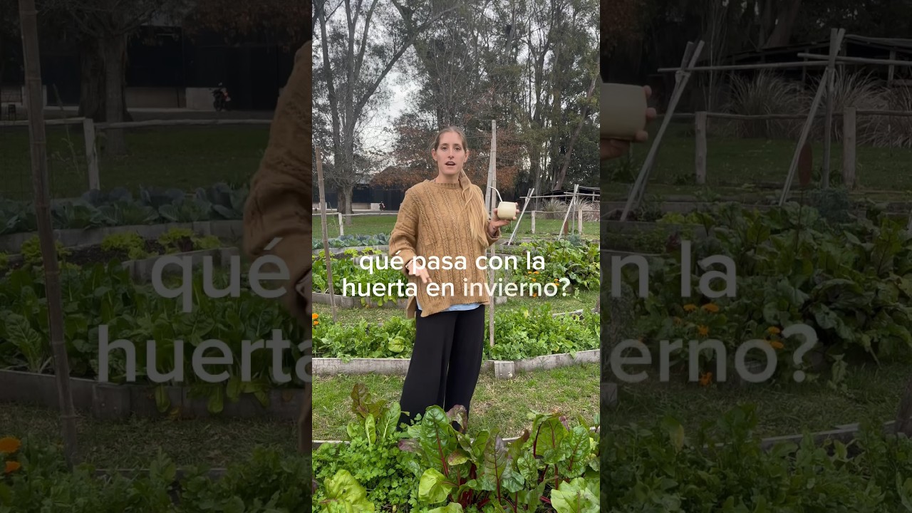 que plantar en junio en galicia