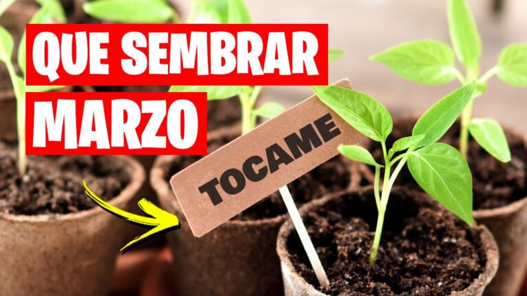 que plantar en marzo en cataluña