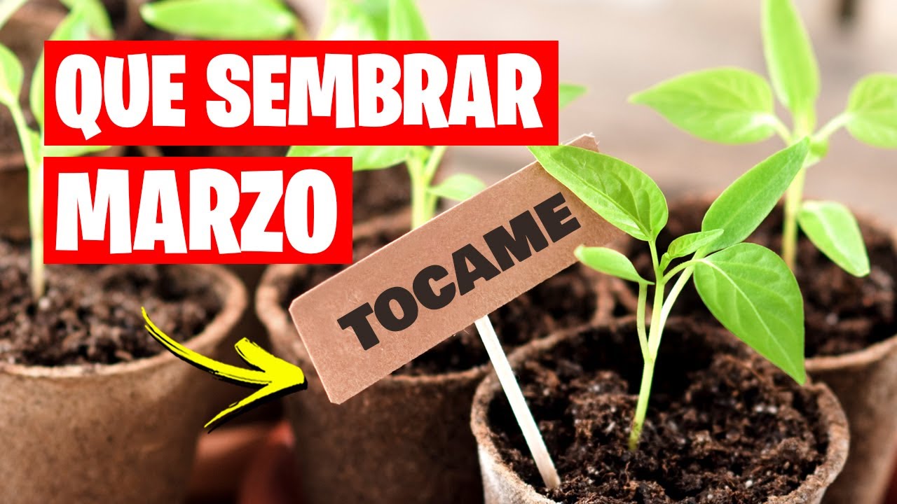 que plantar en marzo en cataluña