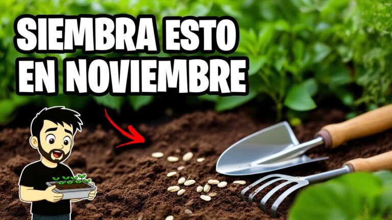 que plantar en noviembre en españa