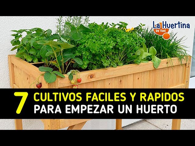 que plantar en un huerto urbano