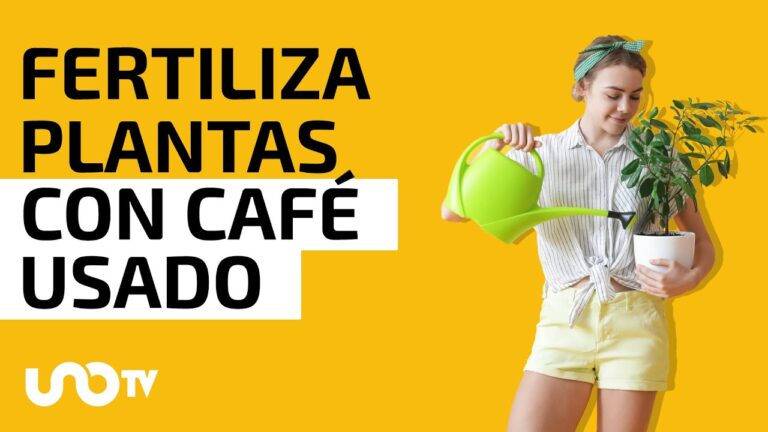 qué plantas necesitan café como abono