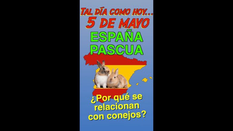 que se celebra el 5 de mayo en españa