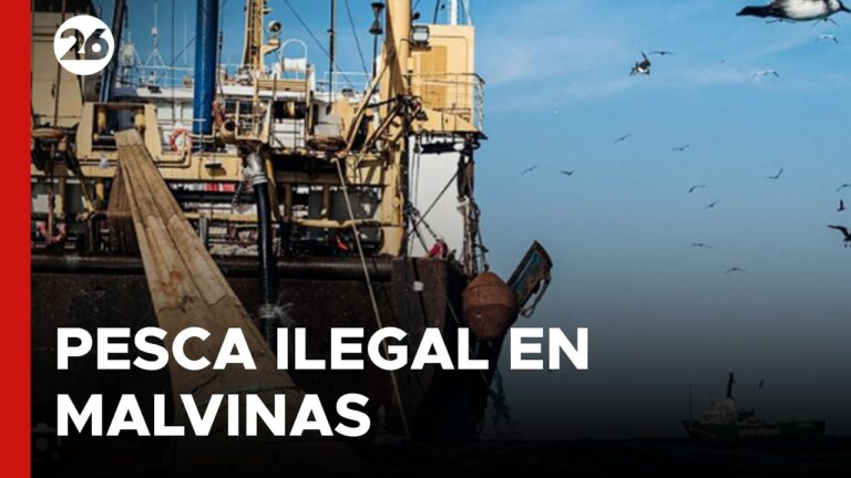 que se pesca en las islas malvinas
