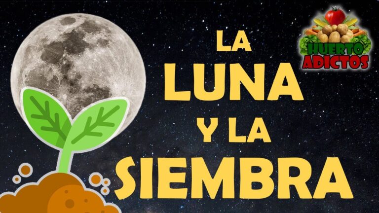 que se planta ahora en el huerto