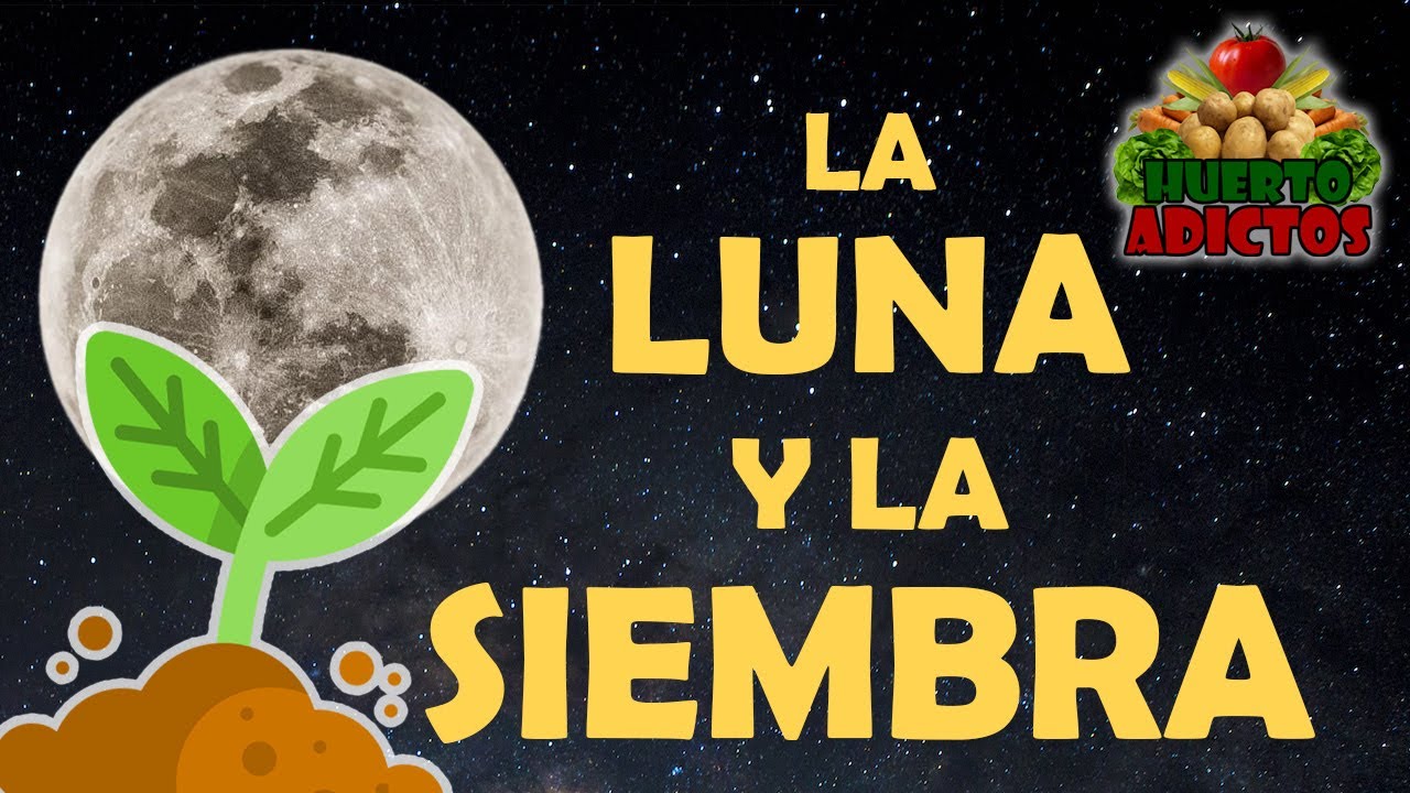 que se planta ahora en el huerto
