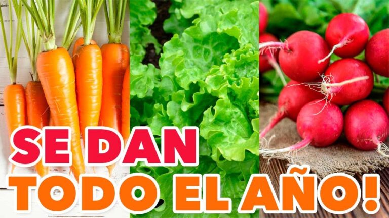 que se puede plantar en abril