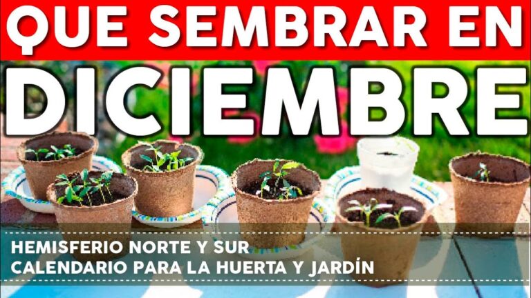 que se puede plantar en diciembre