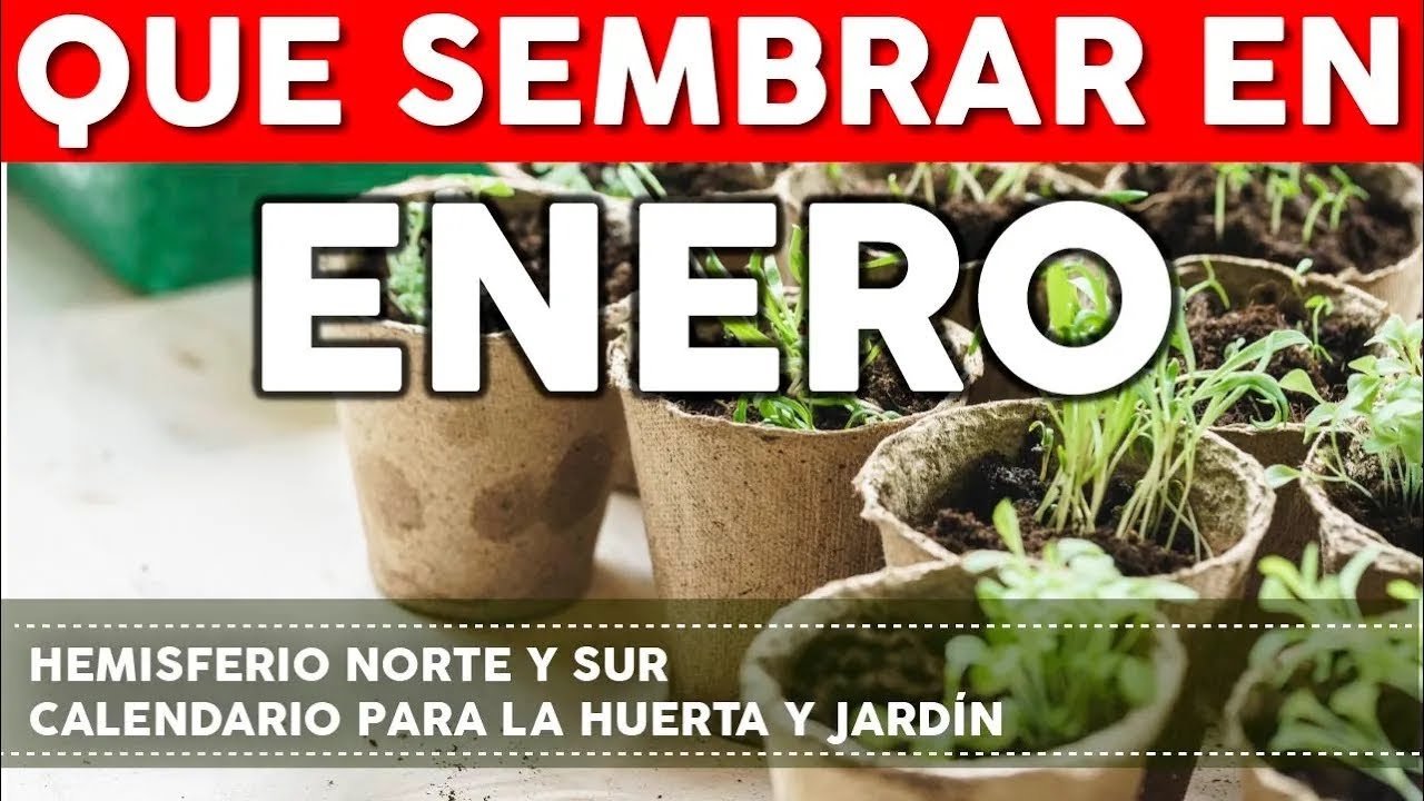 que se puede plantar en enero