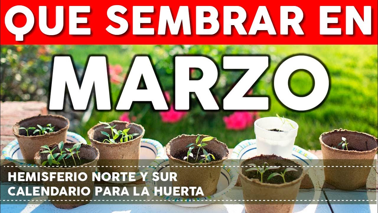 que se puede plantar en marzo