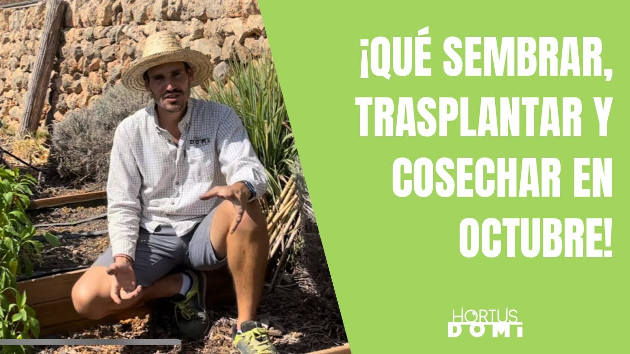 que se puede plantar en octubre en el huerto