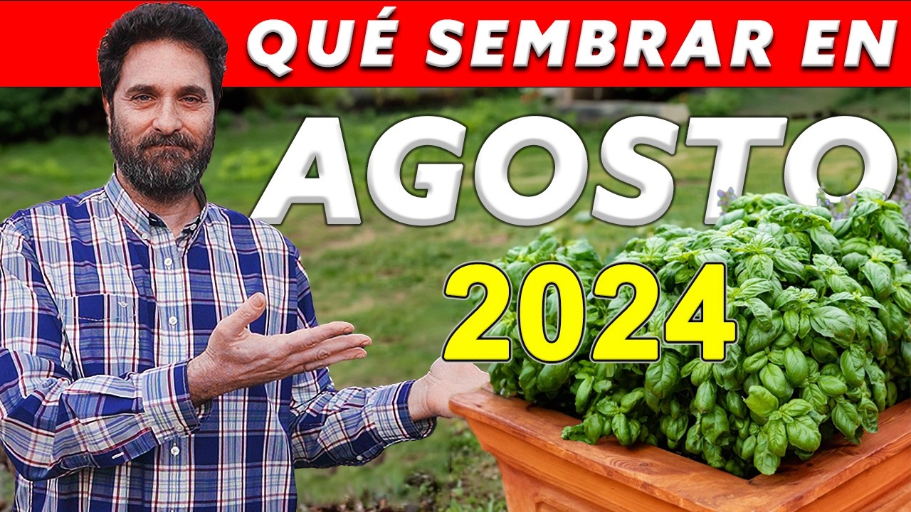 que se puede sembrar en agosto y septiembre