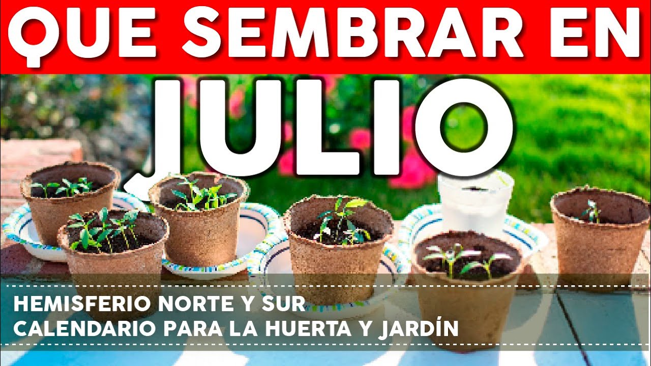 que se puede sembrar en julio