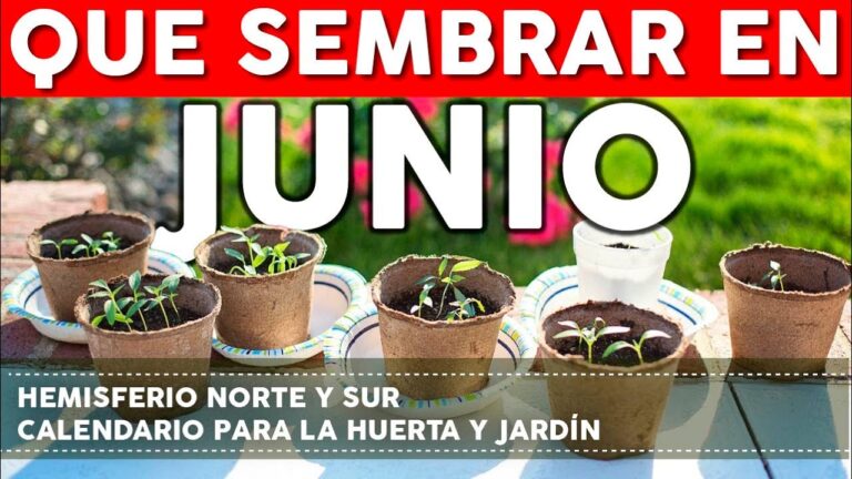 que se puede sembrar en junio