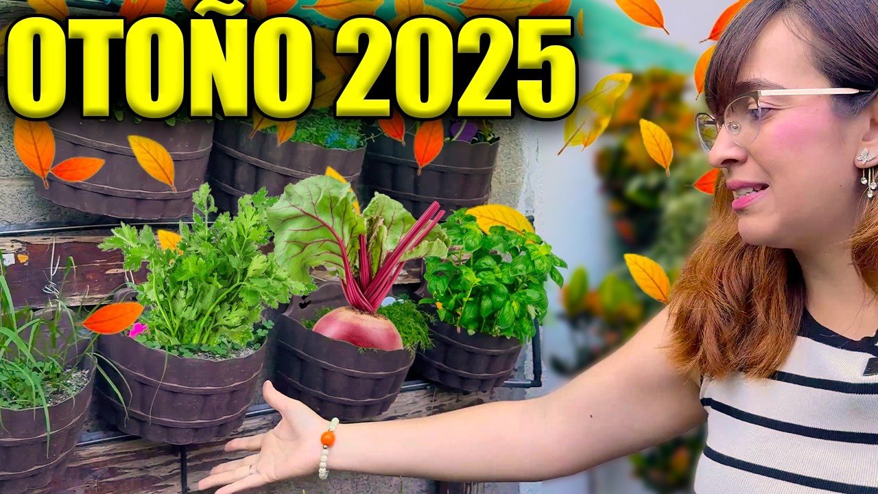 que se puede sembrar en octubre y noviembre