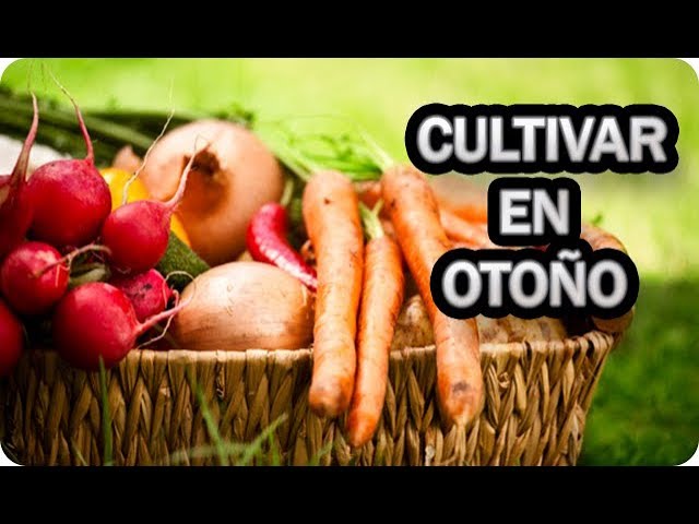 que se puede sembrar en otoño