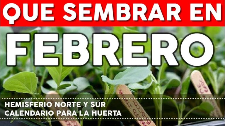 que se siembra en enero y febrero