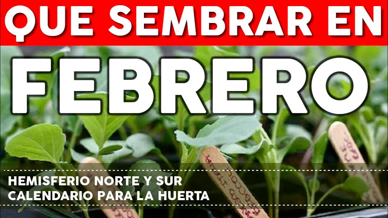 que se siembra en enero y febrero