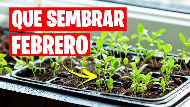 que se siembra en febrero en españa